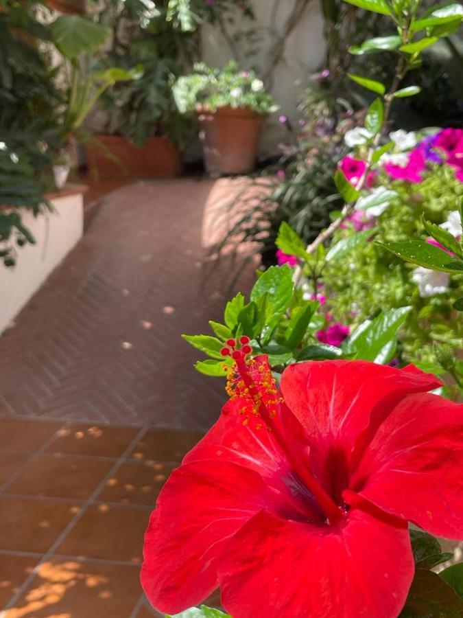 Bed and Breakfast Piccolo Bed Procida Exterior foto