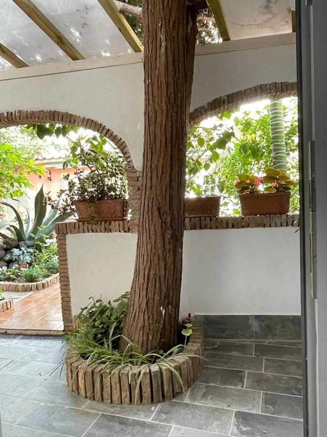 Bed and Breakfast Piccolo Bed Procida Exterior foto